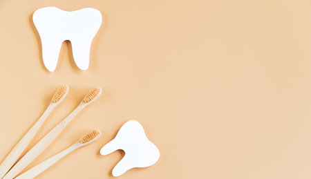 Eco-friendly wooden toothbrushes on trendy beige background. Dental care concept. Happy dentist day. Greeting card. Banner format.の写真素材