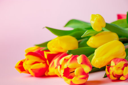 Bouquet of red and yellow tulips on pastel pink background. Spring symbol, holiday gift. Place for text.の写真素材