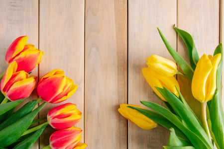 Yellow tulips on light wooden background. Spring and holiday concept. Place for text.の写真素材