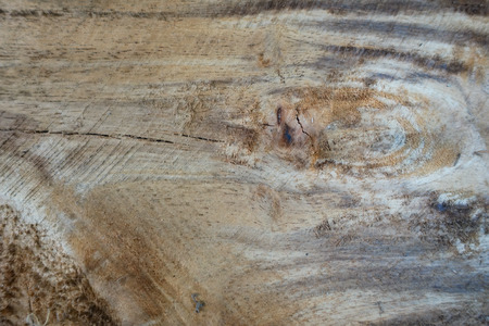 Old wood texture background. Floor surfaceの写真素材