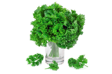 greens parsley on a white backgroundの写真素材