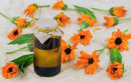 Calendula marigold flowers with oil, covered on with parchment paperの写真素材