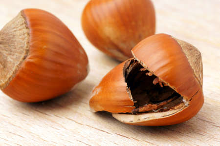 Broken shell hazelnutの写真素材