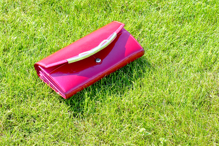 Women wallet on the grassの写真素材