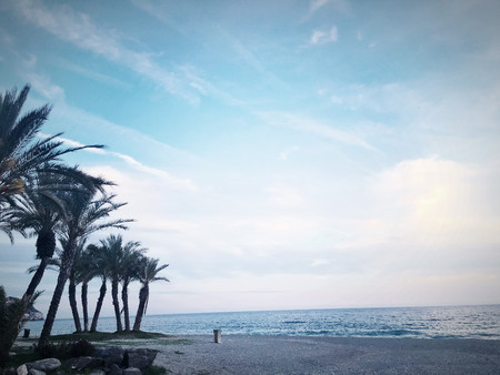 paradise sunset beachの写真素材