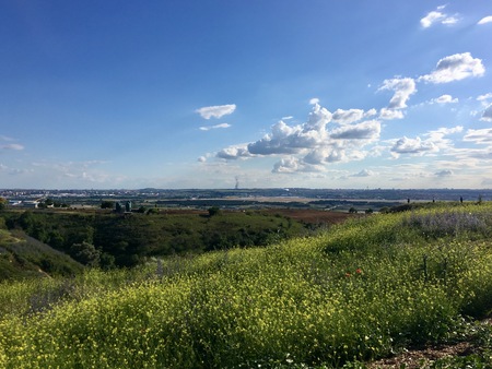 greenの写真素材