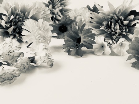 card flower flowersの写真素材