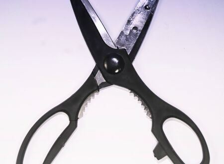 scissors tools kitchen