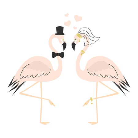 Beautiful pink flamingo couple wedding card on white backgroundのイラスト素材