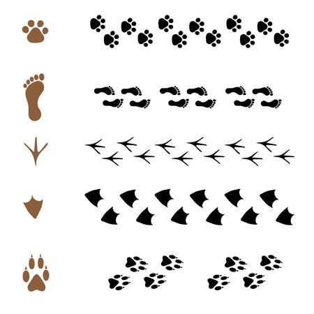 set of vector pattern brushes in the form of animal tracks