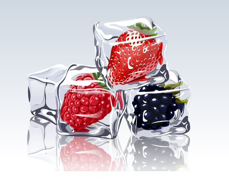 frozen berries in ice cubeのイラスト素材