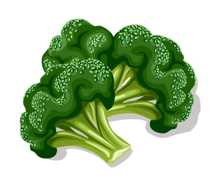 Green broccoliのイラスト素材