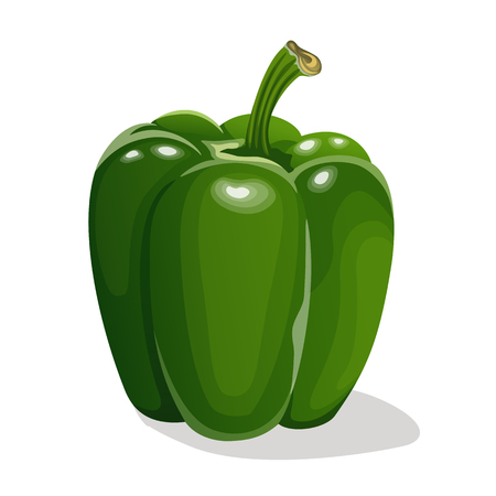 Sweet green bell pepperのイラスト素材