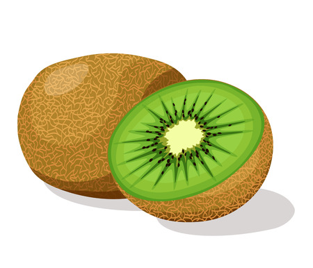 Kiwi fruitのイラスト素材