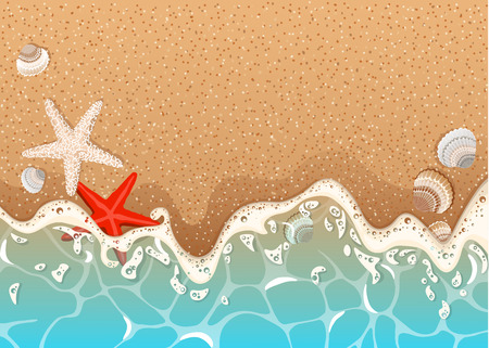 Foamy wave, starfish and shells.のイラスト素材