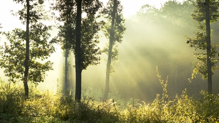 beams of lightの写真素材
