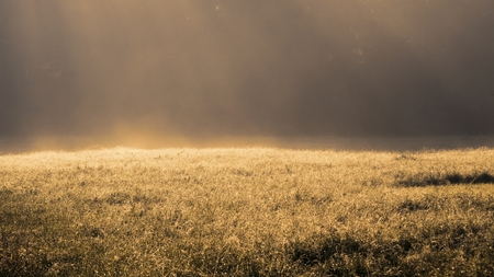 beams of lightの写真素材