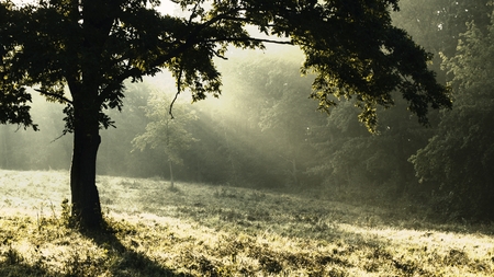 Sunlightの写真素材