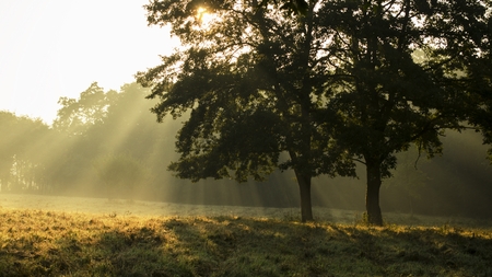 morning sunlightの写真素材