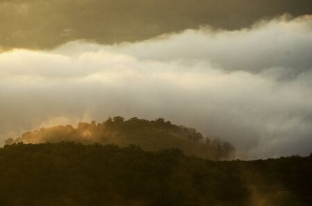 foggy landscape