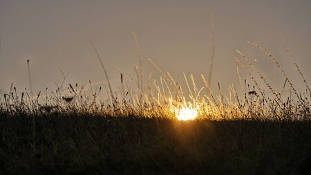 outdoor sunsetの写真素材