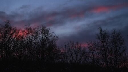 purple skyの写真素材