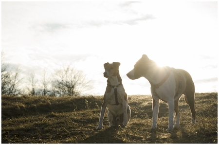 a good teamの写真素材