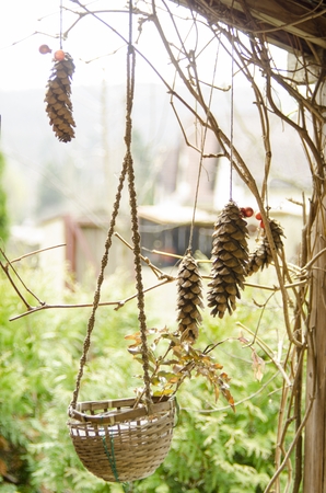 Spring is in the airの写真素材