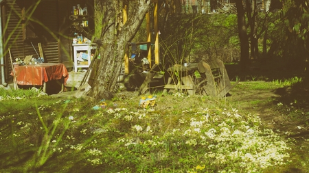 peace gardenの写真素材