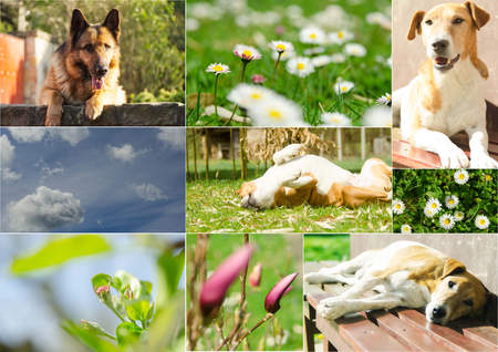 joyful momentsの写真素材