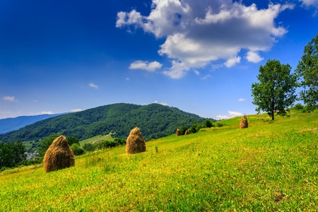 more Stack of hay in the mountains on a mountain meadow with treesの写真素材