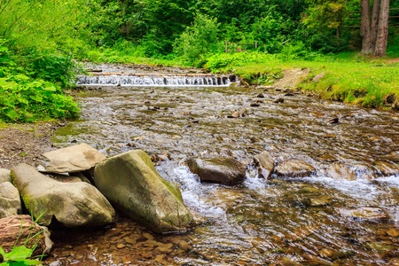 large rocks near the bushes on the bank of the river flowing through the forestの写真素材