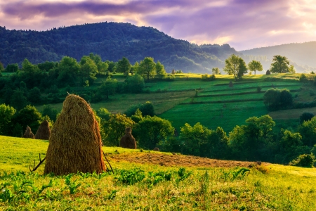 Stack of hay on the hillside under a menacing sky in the early morningの写真素材