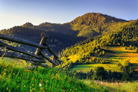 wooden fence in the grass on the hillsideの写真素材