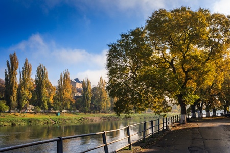 large yellow crowns of trees at the edge of embankment in the early autumnの写真素材