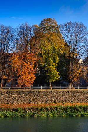 autumn trees near the river on the stone strengtheningの写真素材