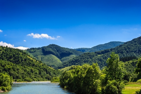 trees on the river banks going into the mountainsの写真素材