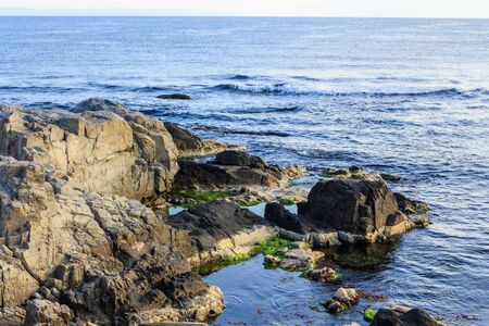 rocky coast with seaweed near the blue seaの写真素材