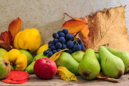 autumnal fruit still life with apples, pears, quince, grapes and leaves on wooden baseの写真素材