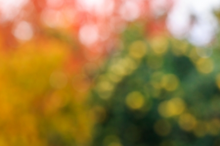 abstract, blurry, yellowed, background autumn garden in the day timeの写真素材