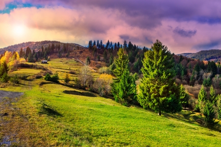 autumn landscape. forest on the hillside covered with red and yellow leaves. over the mountains the beam of light falls on a clearing at the top of the hill.の写真素材