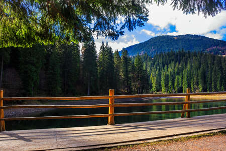 fence on the Lake in mountain near coniferous forestの写真素材
