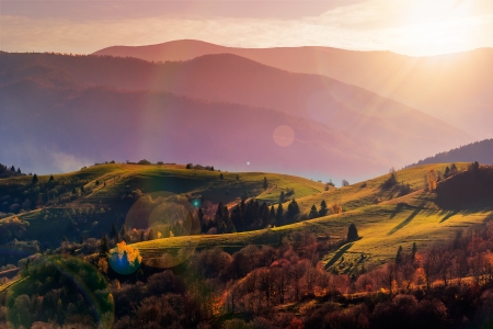 autumn landscape. forest on a hillside covered with red and yellow leaves. over the mountainsの写真素材