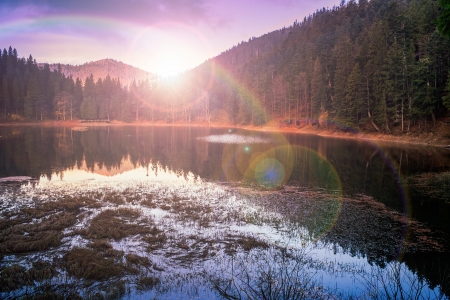 Mountain lake and colorful foliage in Autumn coniferous forestの写真素材