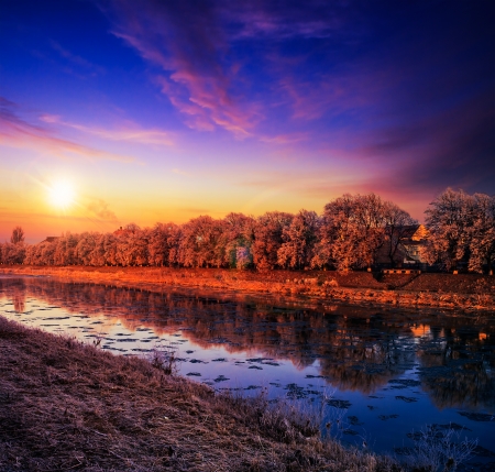 bank of the river with trees covered with rime on a winter eveningの写真素材