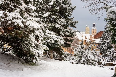 City Park with snowy fir trees and benches, can be seen the domeの写真素材