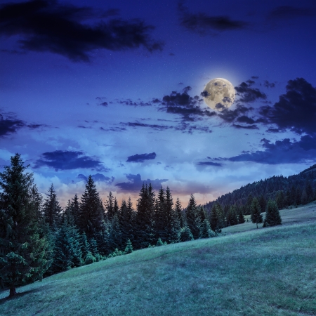  mountain steep slope with coniferous forest with fog in moon light の写真素材