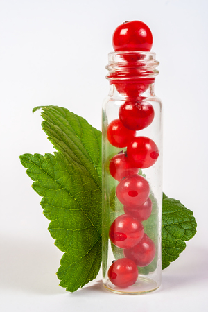 natural cosmetics concept  made of redcurrant   on white background with green leafsの写真素材