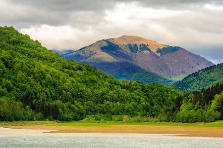 view on lake shore near the forest on mountain backgroundの写真素材