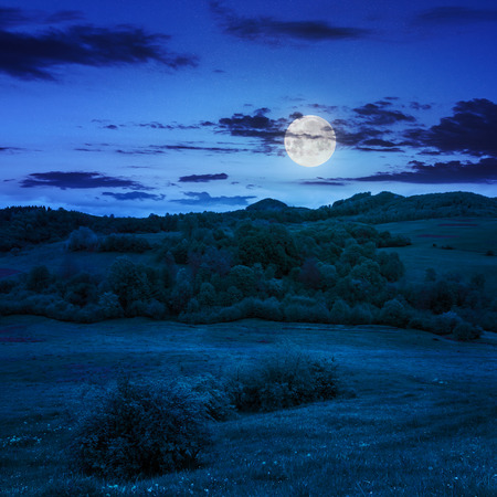 mountain summer landscape.forest near meadow on hillside under  cloudy sky at night in moon lightの写真素材